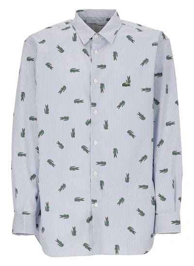 Comme Des Garçons Cotton Shirt Comme Des Garcons X Lacoste In Light Blue