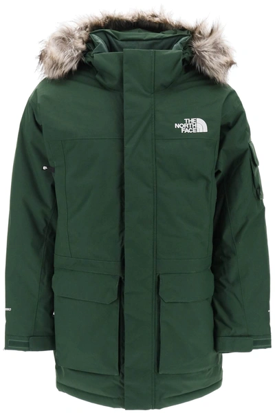 The North Face Mcmurdo Hooded Padded Parka In Pine Needle (green)