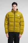 THE NORTH FACE THE NORTH FACE PUFFER IN GREEN VELVET