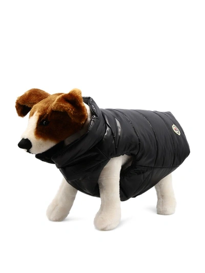 Moncler Genius Dog Waistcoat In Black