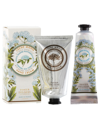 PANIER DES SENS PANIER DES SENS HAND CARE SEA FENNEL SET