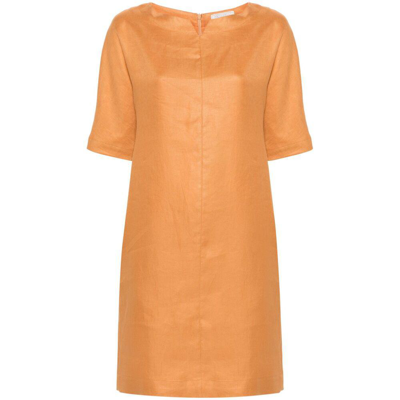Antonelli Dresses In Orange