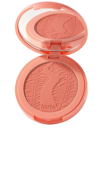 Tarte Amazonian Clay 12-hour Blush 腮红 In Captivating