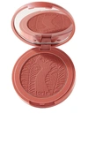 TARTE AMAZONIAN CLAY 12-HOUR BLUSH 腮红