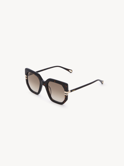 Chloé Lunettes De Soleil West Femme Brun Taille Onesize 100% Acétate In Brown