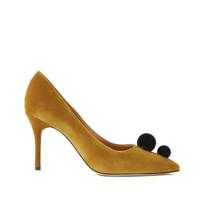 Manolo Blahnik Piera 115 Suede Pumps In Yellow