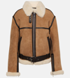 Totême Sheep Shearling Belted Aviator Jacket In Dark Biscuit 