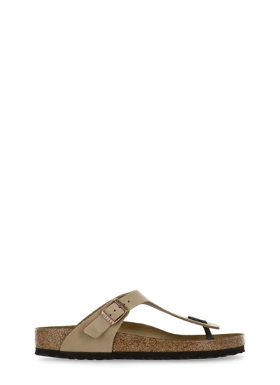 Birkenstock Gizeh Sandal In Brown