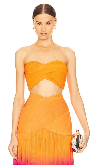 Amur Darcey Strapless Crop Top In Orange