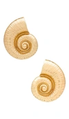 8 OTHER REASONS SHELL EARRING