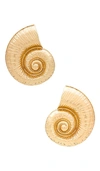 8 Other Reasons Shell Earring In É‡‘è‰²