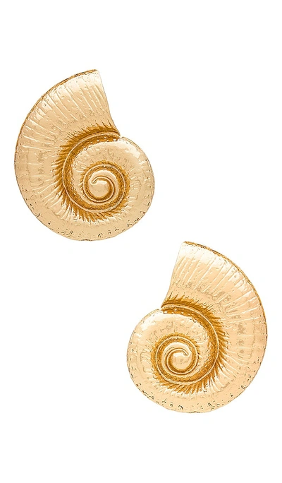 8 Other Reasons Shell Earring In É‡‘è‰²