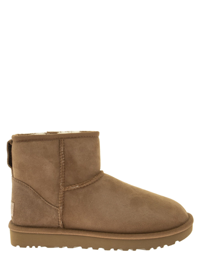 Ugg Mini Classic Ii Boots In Chestnut