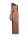 Maria Lucia Hohan Silk One-shoulder Palmer Gown In Brown