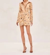 Alexis Nordeen Dress In Multi