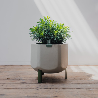 Marly Garden Smaller, Sage Green Self-watering Planter In Gray