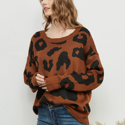 Anna-kaci Leopard Print Sweater In Brown