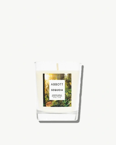 Abbott Sequoia Candle In White