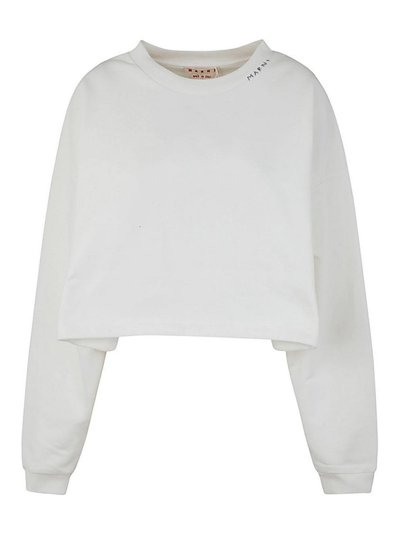 MARNI SWEATSHIRT