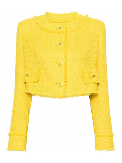 Dolce & Gabbana Round Collar Jacket In Yellow