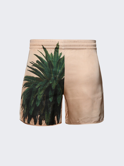 Blue Sky Inn Royal Palm Shorts In Multicolor