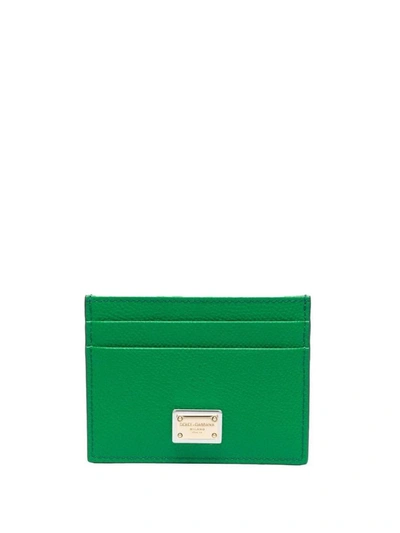 Dolce & Gabbana Leather Cardholder In Green