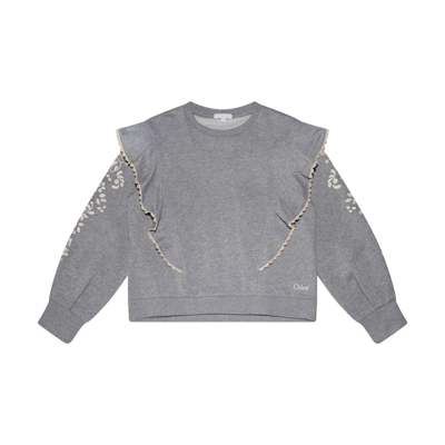 Chloé Babies' Grey Cotton Sweatshirt In Grigio