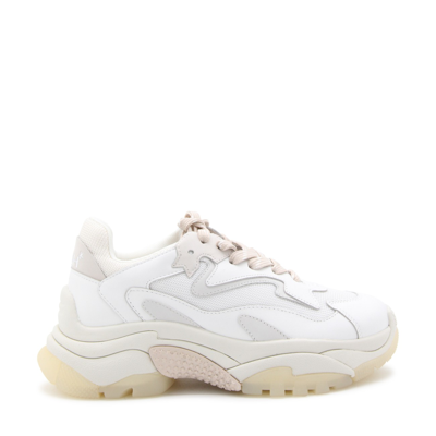 Ash White Leather And Fabric Sneakers In White/off White