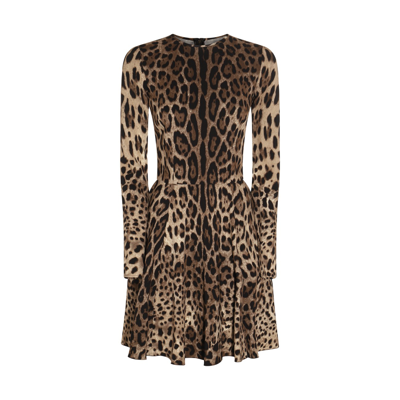 Dolce & Gabbana Brown And Black Dress In Leopard