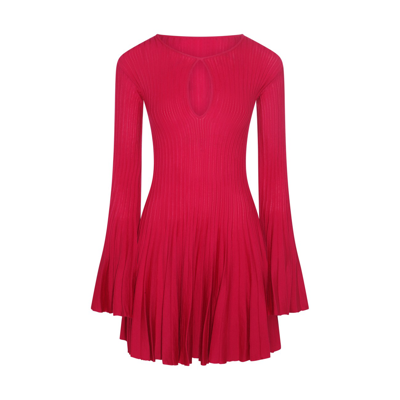 Blumarine Amarena Wool Dress In Burgundy