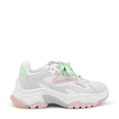 Ash Pearl White And Pink Leather 01 Addict Sneakers In Pearl/wht/crystal