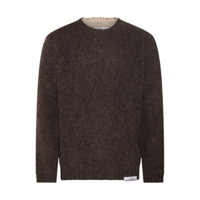 A.p.c. X Jw Anderson Maglie Marrone In Brown