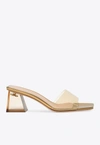 Gianvito Rossi Cosmic 55 Mule Sandals In Pink