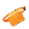 BAGGALLINI MODERN BELT BAG