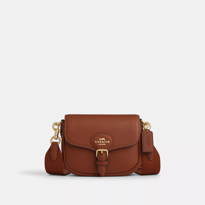 Coach Amelia Small Saddle Bag In Brown