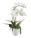 D&w Silks White Orchids In White Ceramic Bowl In White