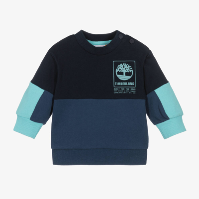 Timberland Babies' Boys Blue Colourblock Cotton Sweatshirt