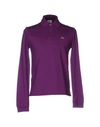 Lacoste Polo Shirt In Purple