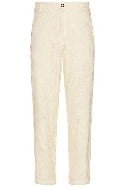Harago Lace Pants In Off White