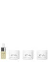 Dr Barbara Sturm Super Anti-aging Discovery In N,a
