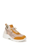 Sam Edelman Chelsie Knit Sneaker In Washed Daisy,dark Sunflower