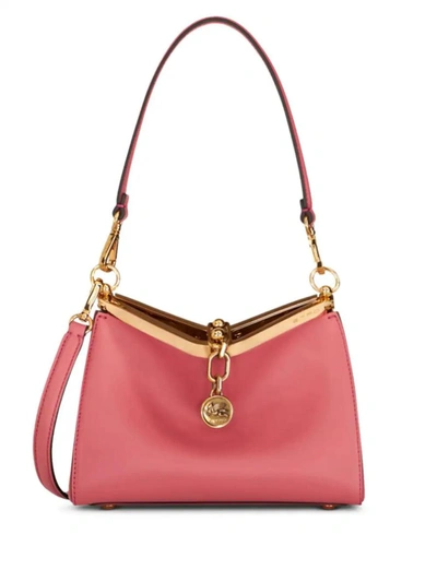 Etro Bags In Pink