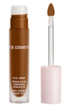 Kylie Cosmetics Power Plush Longwear Concealer In 9.5w