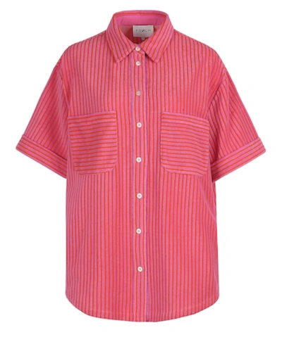 Frnch Jody Shirt In Pink
