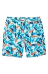 Fair Harbor Kids' Anchor Shark Print Water Repellent Swim Trunks In Reef Sharks