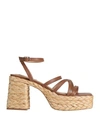 Steve Madden Woman Espadrilles Brown Size 12 Leather In Brown