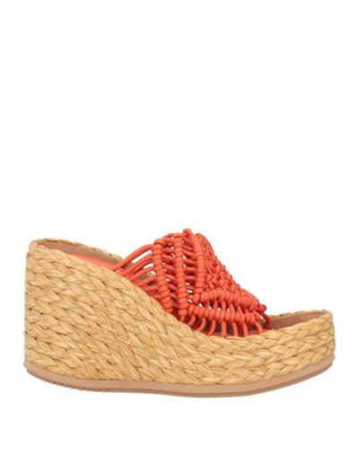 Paloma Barceló Woman Espadrilles Orange Size 9 Leather