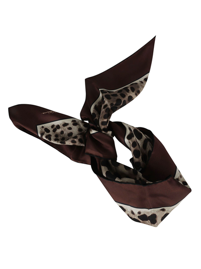 Dolce & Gabbana Printed Scarf In Brown