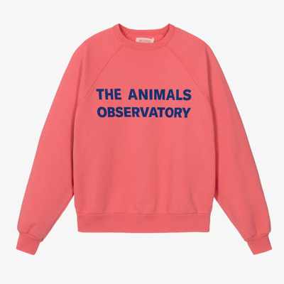 The Animals Observatory Teen Pink Cotton Sweatshirt