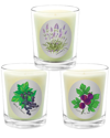 Qualitas Candles Set Of 3 Candles In White